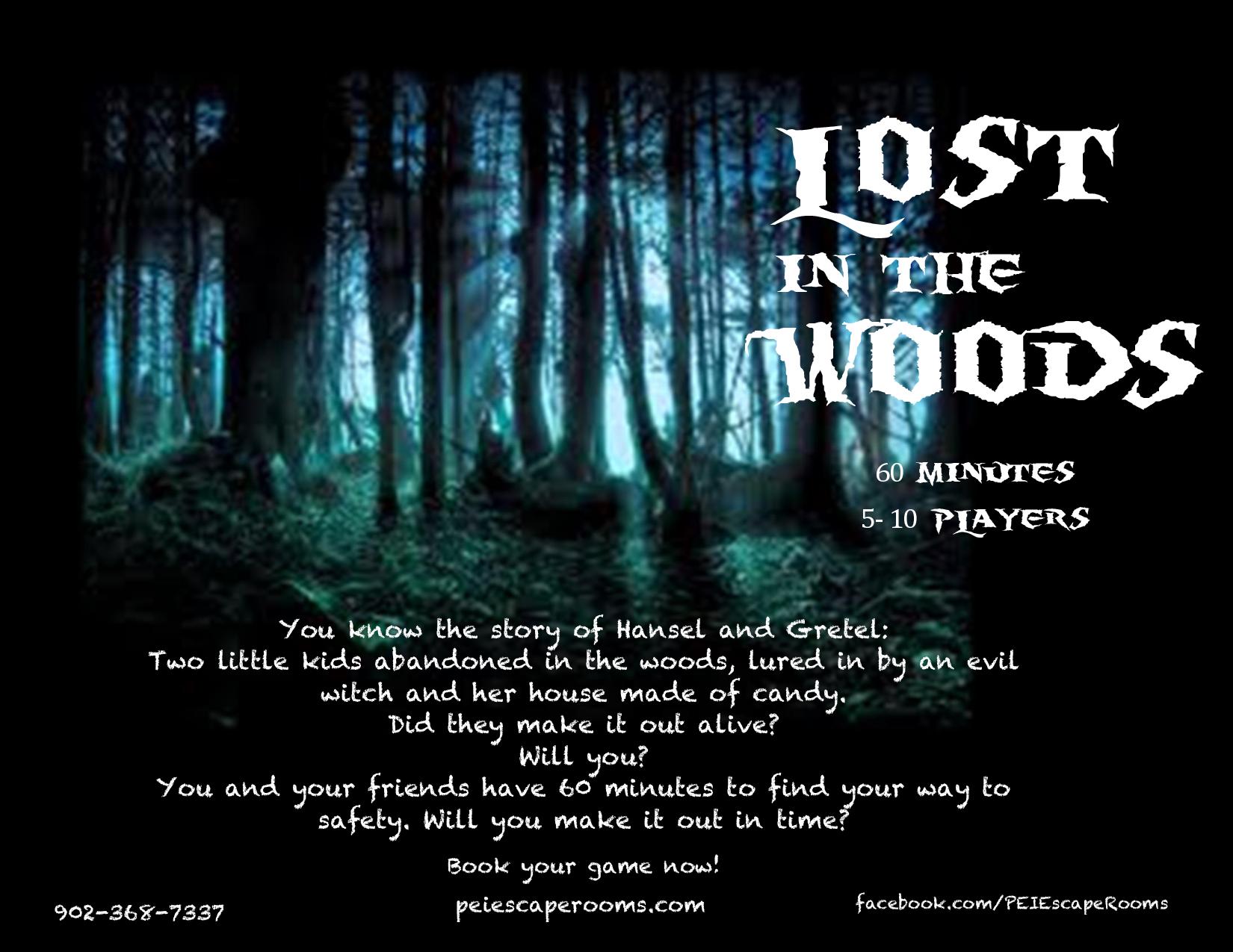 Lost in the woods-page-001